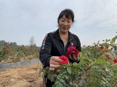 农场主刘云香的“美丽事业”