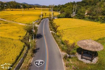 江苏溧阳戴埠镇：欢庆农民丰收节 美丽乡村促振兴