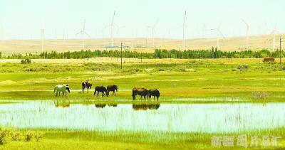 新疆布尔津：百余重点项目助推绿色发展