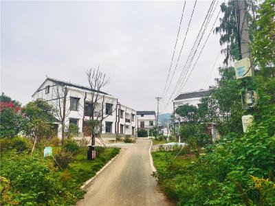 【青山绿水】武汉市蔡甸区：乡村美了，村民乐了！