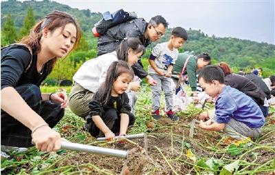 浙江各地展览、演出不断 丰富文化活动点亮假期