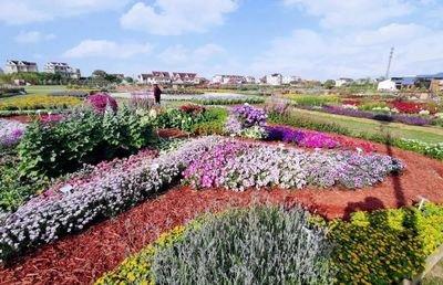 首届北京国际花园节迎客近40万人次 展出600余种新优花卉品种