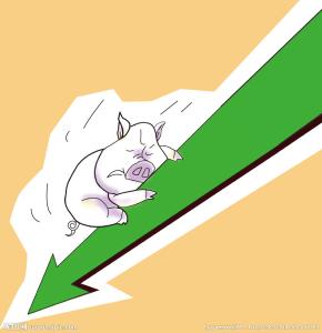猪肉价格涨幅大幅回落 年内CPI首迎“1时代”