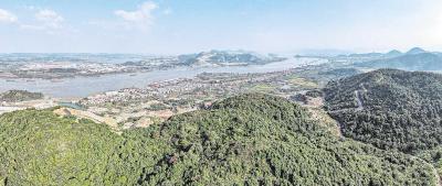 【湖北这五年·市州新景】黄石100多处开山塘口披绿装
