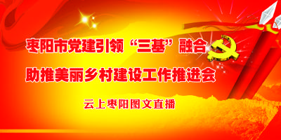 图文直播|枣阳市党建引领“三基”融合 助推美丽乡村建设工作推进会