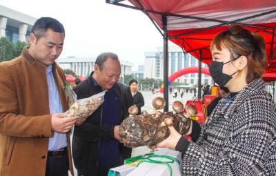 河南南阳：聚力脱贫攻坚 奔向美好生活