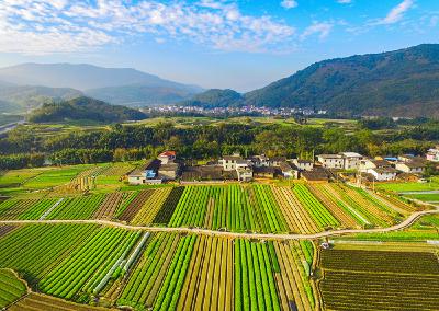 福建永安吉山村：梯田，大自然的绝美线条