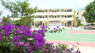 广西藤县：免费午餐呵护学生健康成长