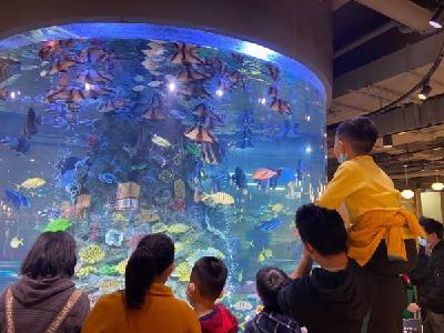 【区县新闻】买买买！武汉的顶尖品牌店、潮玩品牌店前都排起长队