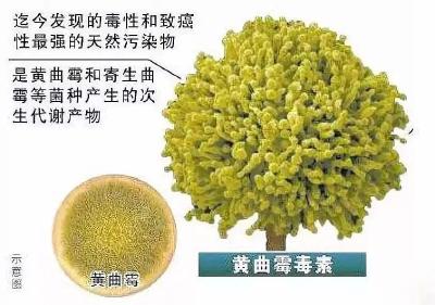 一家聚餐，7人死亡！详情披露→