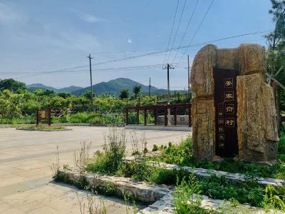 山东相册｜烟台市美丽乡村（六）：姜家夼村