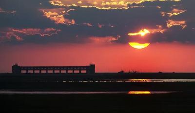 江苏盐城黄海湿地大丰野鹿荡入选世界暗夜保护地名录