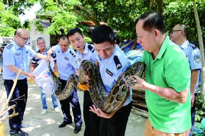 海南侦破特大贩卖野生动物案