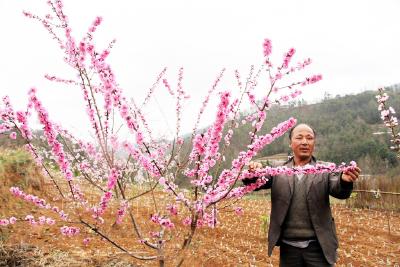 贵州威宁杨光华：一个返乡农民工的创业之路