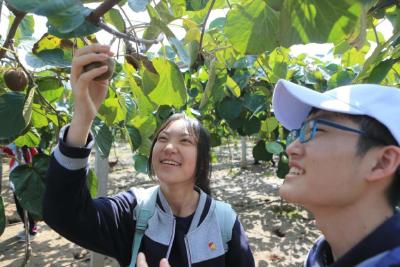 社会实践|陕西宝鸡：中学生变身“小记者” 