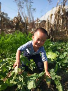 辽宁庄河：开展幼儿园体验式特色教育