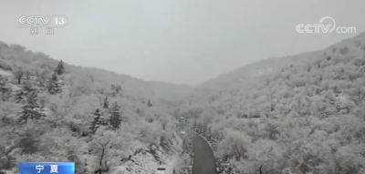 雪҈雪҈雪҈雪҈雪҈ 来了~