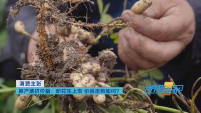 提前抢疯了?一度涨到6元/斤! “花生”了啥?