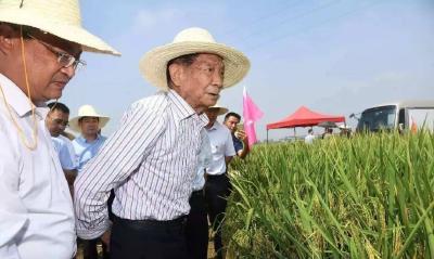 袁隆平，又定了两个“小目标”！
