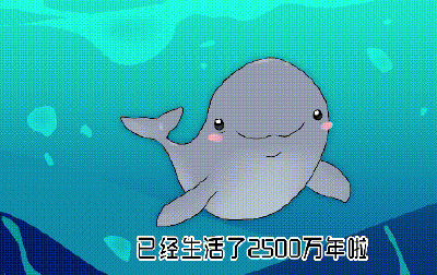 我叫江豚，长江的江……