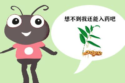 小蚂蚁的秘密