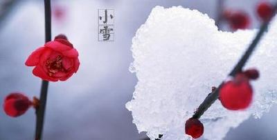 小雪时节养生关键：调整好心态