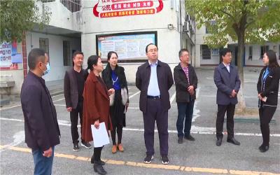 武义泉到吴店镇调研项目建设和精准扶贫等工作