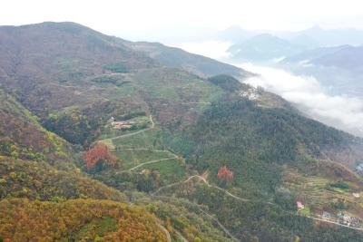 【青山绿水】湖北保康：山路弯弯景如画 致富公路通农家