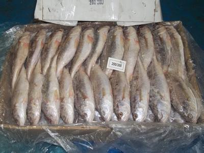 济南发现进口冷冻食品及包装标本新冠病毒核酸检测呈阳性
