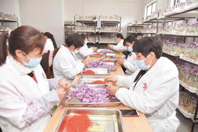 浙鄂协作｜杭州恩施携手战贫记