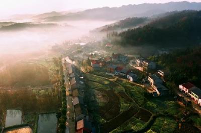 【青山绿水】湖北谷城堰河村：茶旅小镇 山居时光