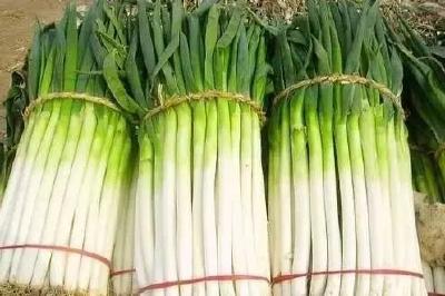 大葱价格上涨快 供求失衡是主因