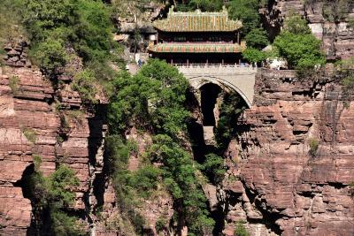 苍山白檀