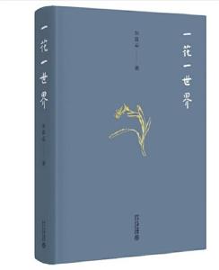 《一花一世界》：中国美学可以“新着讲”