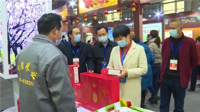 邢红丽参观襄阳农博会枣阳展区
