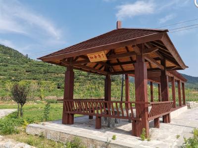 山东烟台姜家夼村：打造“竹海花谷”美丽乡村