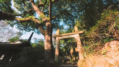 纪录片《西泠印社》为“西泠印社中人”立传