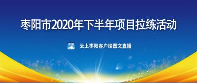 直播|枣阳市2020年下半年项目拉练