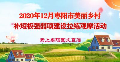 2020年12月枣阳市美丽乡村补短板强弱项建设拉练观摩活动