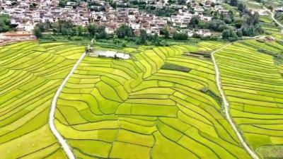 云南剑川县沙溪镇：打造休闲旅游特色小镇