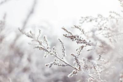 降温！雨雪！冰冻！大风！马上要来了！