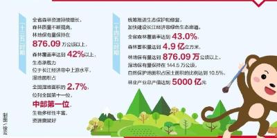 “十四五”规划·畅想2025｜绿满荆楚美如画