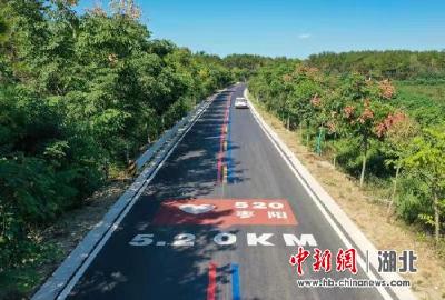 湖北枣阳：中部地区唯一高铁直达北上广深的县(市)