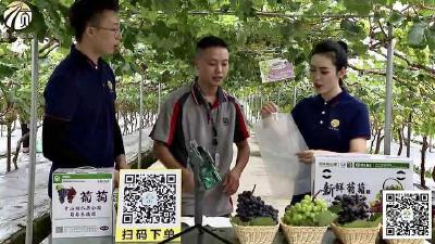 四川南充顺庆区融媒体中心：推进媒体大融合 构建区域媒体融合共同体