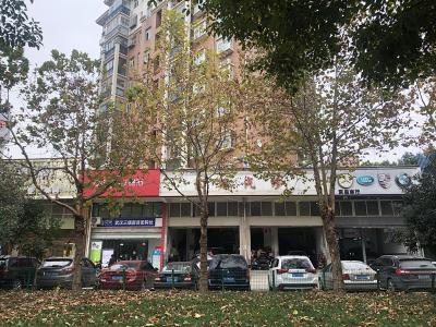 法桐枝繁叶茂挡住了商铺店面招牌 武汉园林部门接到网友求助免费修剪树枝