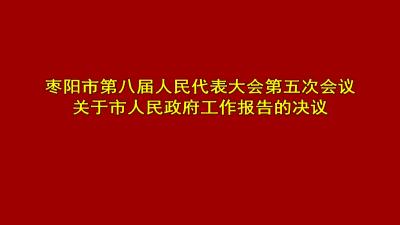 枣阳市第八届人民代表大会第五次会议关于市人民政府工作报告的决议