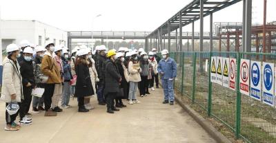 【城区新闻】就业在武汉，梦圆在青山：青山区组建9支“筹岗小分队”筹集4万多优质岗位