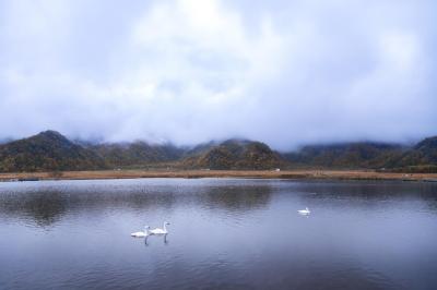 【惠游湖北征集】摄影：仙境大九湖