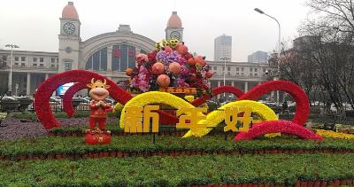 雨夹雪挡不住美丽来袭 500万盆鲜花扮靓江城迎元旦