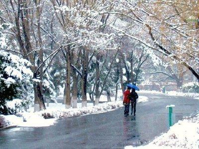 西北华北等地将有雨雪天气 东部和南部海域有大风
